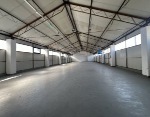 Espace Industriel à louer dans Cluj-napoca, zone Someseni