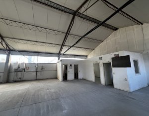Espace Industriel à louer dans Cluj-napoca, zone Someseni