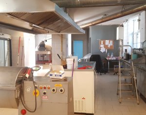 Espace Commercial à louer, 200m2 dans Cluj-napoca