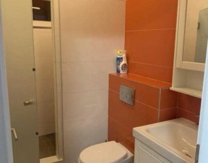Appartement 2 chambres à louer dans Floresti