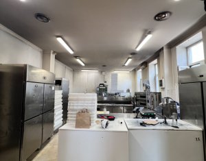 Espace Commercial à vendre, 130m2 dans Cluj-napoca, zone Centru
