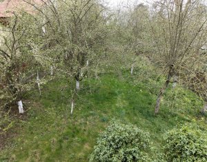 , 250m2 dans Cluj-napoca, zone Centru