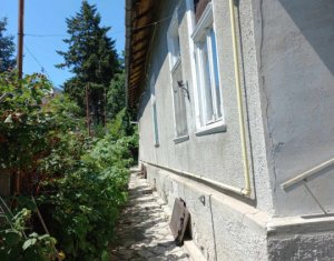 Maison 2 chambres à vendre dans Cluj-napoca, zone Zorilor