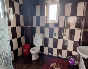 Maison 5 chambres à louer dans Cluj-napoca, zone Iris
