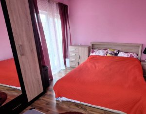 Maison 5 chambres à louer dans Cluj-napoca, zone Iris