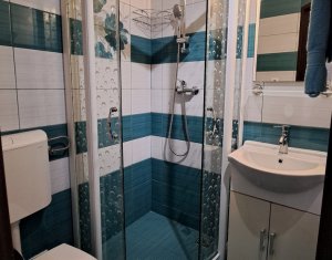 Appartement 1 chambres à louer dans Cluj-napoca, zone Centru
