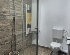Appartement 3 chambres à louer dans Floresti