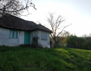 Maison 2 chambres à vendre dans Comsesti