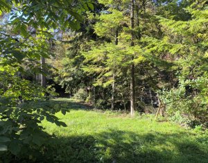 Terrain à vendre dans Cluj-napoca, zone Grigorescu