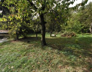 Terrain à vendre dans Cluj-napoca, zone Grigorescu
