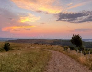 , 584m2 dans Chinteni