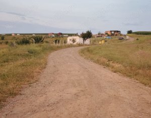 Terrain à vendre dans Chinteni