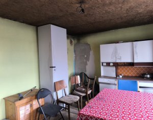 Espace Industriel à vendre dans Mintiu Gherlii