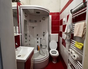 Espace Commercial à louer dans Cluj-napoca, zone Gara