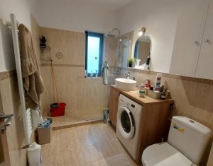 Appartement 2 chambres à louer dans Cluj-napoca, zone Borhanci
