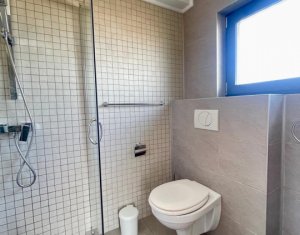Maison 4 chambres à louer dans Cluj-napoca, zone Europa