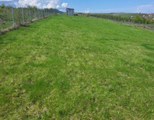 , 2000m2 dans Salicea