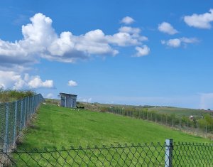 Terrain à vendre dans Salicea