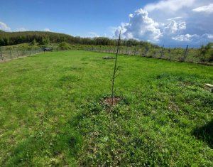Terrain à vendre dans Salicea