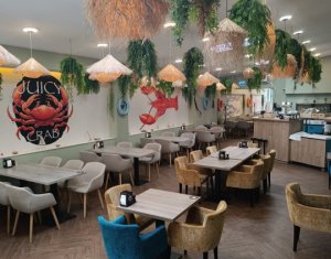 Espace Commercial à vendre dans Cluj-napoca, zone Centru
