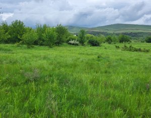 Terrain à vendre dans Floresti