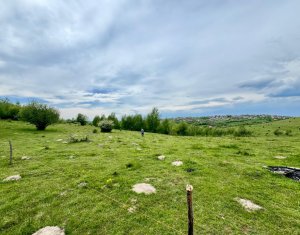 , 3000m2 in Feleacu