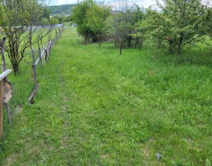, 1845m2 dans Cluj-napoca, zone Someseni