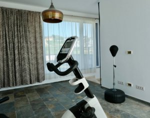 Maison 6 chambres à vendre dans Cluj-napoca, zone Borhanci