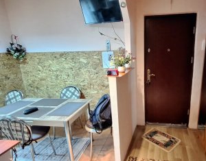 Appartement 2 chambres à louer dans Cluj-napoca, zone Zorilor