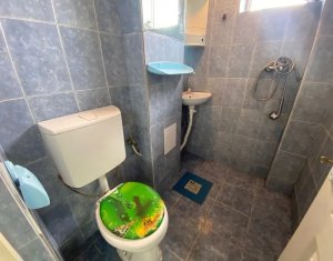Appartement 1 chambres à vendre dans Cluj-napoca, zone Gruia