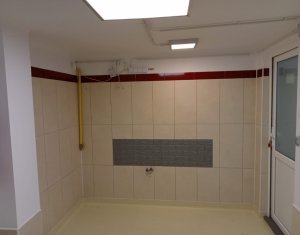 Espace Commercial à louer dans Cluj-napoca, zone Andrei Muresanu