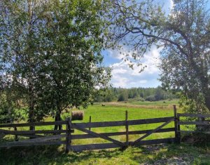 , 4500m2 dans Dealu Negru