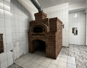 Espace Commercial à louer dans Cluj-napoca, zone Centru