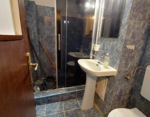 Appartement 1 chambres à louer dans Cluj-napoca, zone Marasti