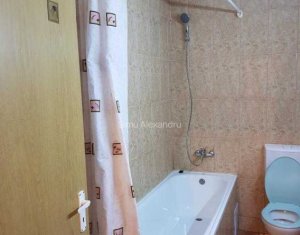 Appartement 1 chambres à louer dans Cluj-napoca, zone Andrei Muresanu