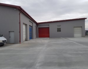 Espace Industriel à louer dans Cluj-napoca, zone Someseni