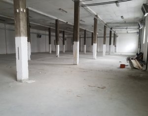 Espace Industriel à louer dans Cluj-napoca, zone Someseni