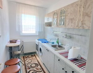 Appartement 1 chambres à louer dans Cluj-napoca, zone Gruia