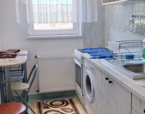 Appartement 1 chambres à louer dans Cluj-napoca, zone Gruia