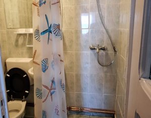 Appartement 1 chambres à louer dans Cluj-napoca, zone Gruia