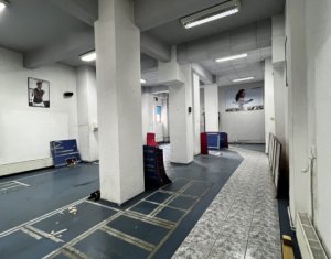 Espace Commercial à louer, 244m2 dans Cluj-napoca, zone Gheorgheni