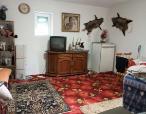 Maison 3 chambres à vendre dans Dumbrava