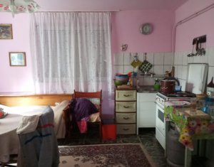 Maison 3 chambres à vendre dans Dumbrava