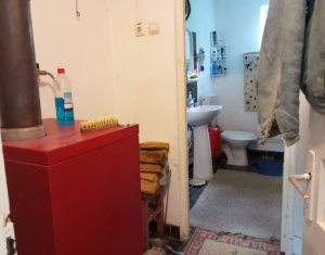 Maison 3 chambres à vendre dans Dumbrava