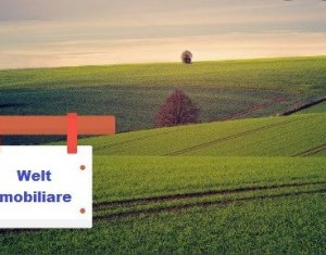 , 400m2 in Balcesti (belis)