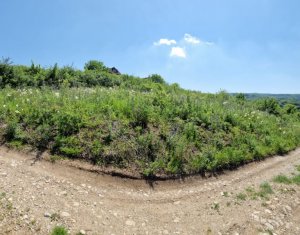 Terenuri intravilane de vanzare – cartier Zorilor, zona Wings, Cluj-Napoca
