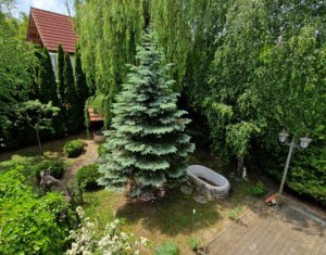 Maison 4 chambres à vendre dans Cluj-napoca, zone Borhanci