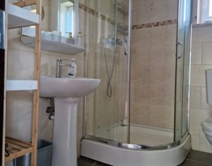 Maison 4 chambres à vendre dans Cluj-napoca, zone Borhanci
