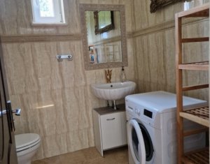 Maison 4 chambres à vendre dans Cluj-napoca, zone Borhanci