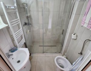 Maison 3 chambres à louer dans Floresti